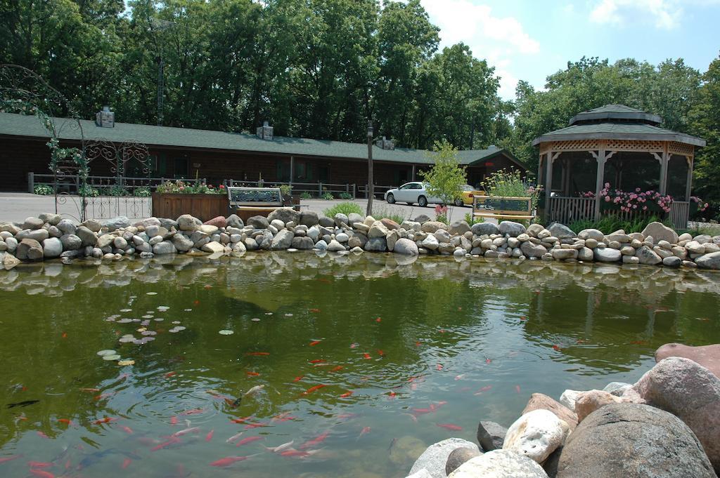 Bed and Breakfast Lazy Cloud Williams Bay Экстерьер фото